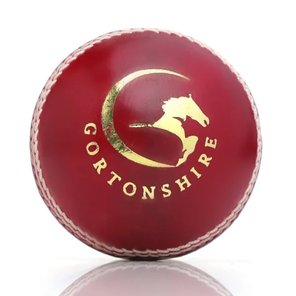 Cricket Ball